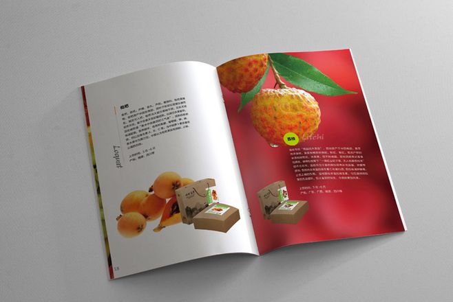 宣傳冊設計一般一頁多少錢？宣傳冊的特點有哪些？