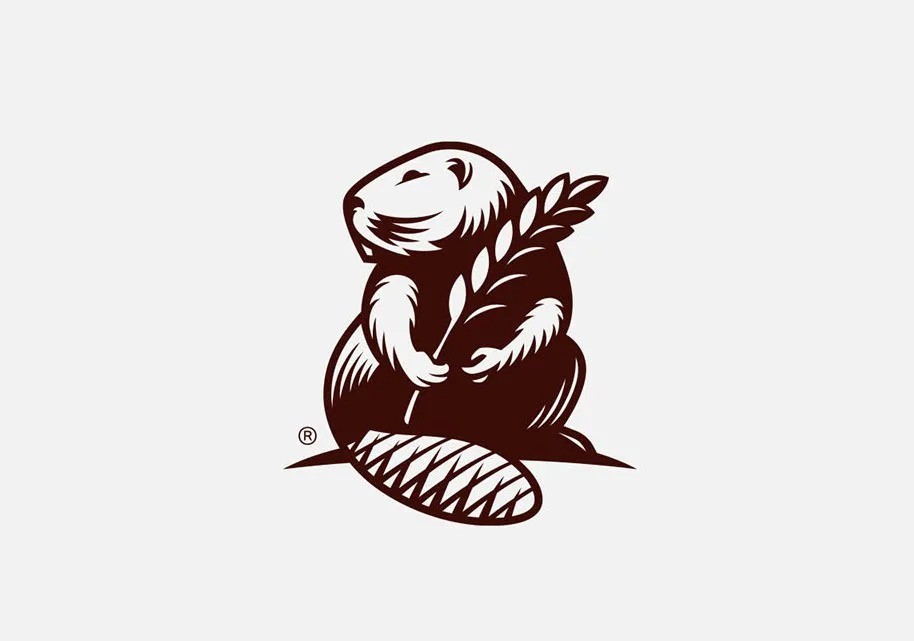 logo商標(biāo)設(shè)計(jì)要求有哪些？條件是什么