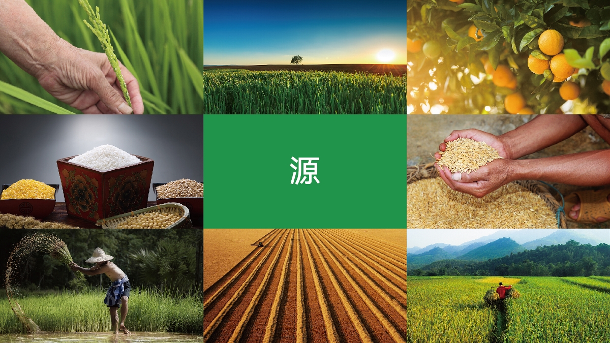 農(nóng)產(chǎn)品品牌設(shè)計(jì)技巧有哪些？怎樣塑造品牌形象