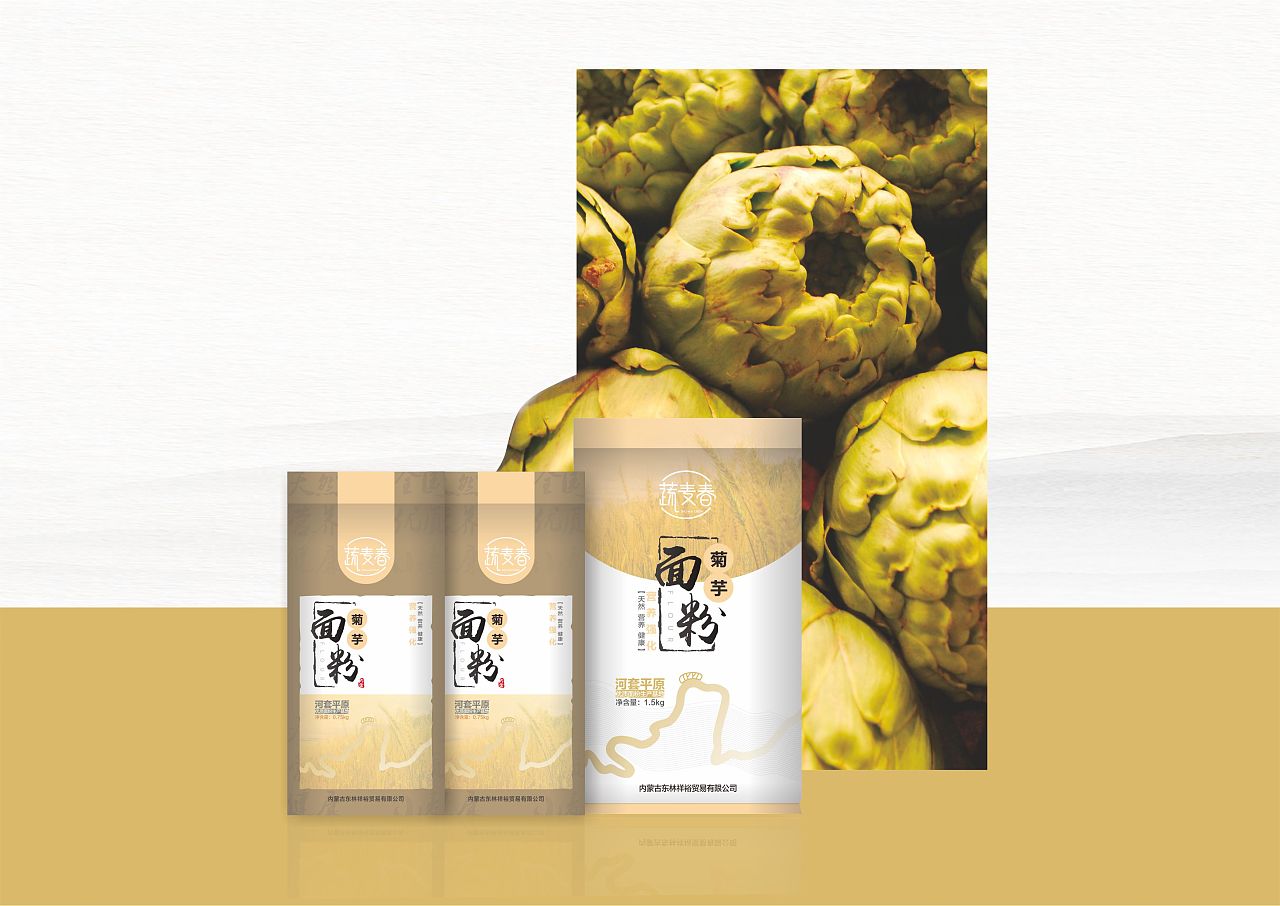 包裝設計專業(yè)能考公務員嗎？包裝設計有哪些課程？