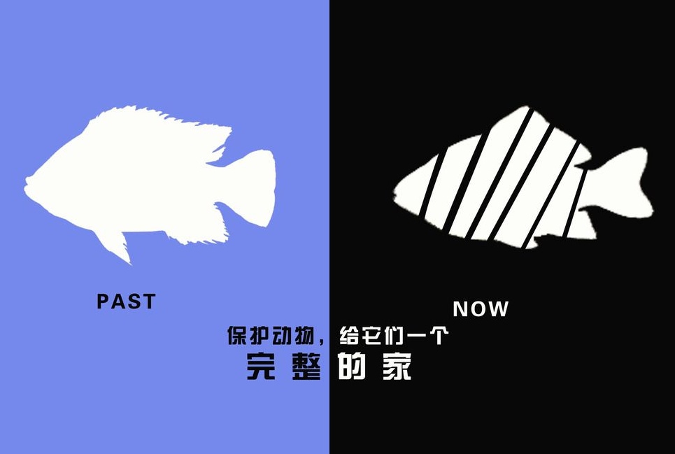 廣告設(shè)計制作有哪些要求？有哪些注意事項？