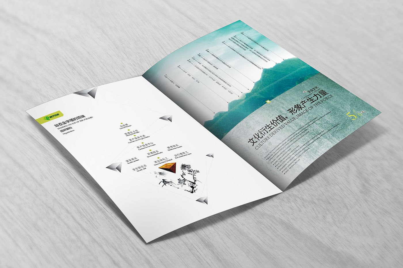 物業(yè)管理畫(huà)冊(cè)設(shè)計(jì),物業(yè)管理畫(huà)冊(cè)設(shè)計(jì)公司