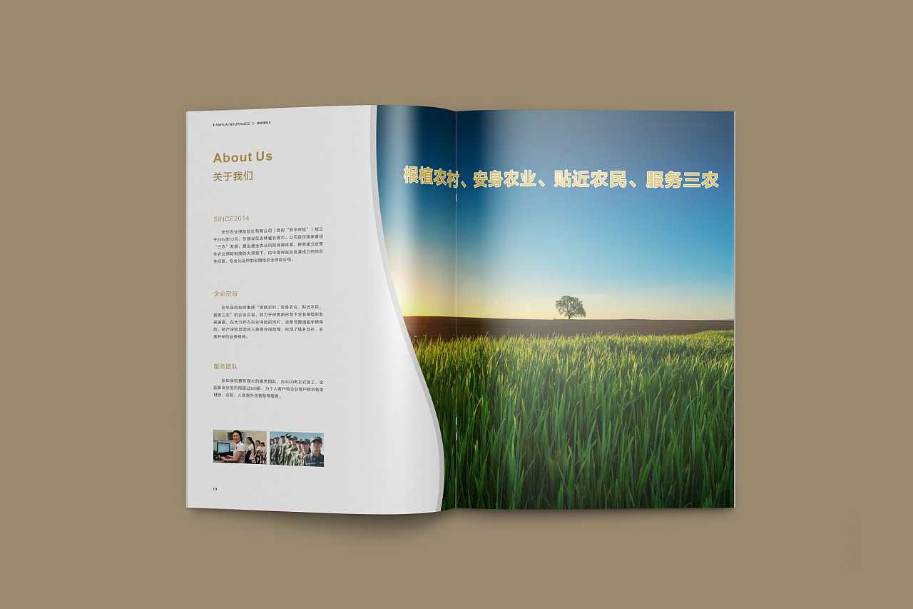 成都企業(yè)為什么要選擇高端宣傳冊(cè)設(shè)計(jì)公司呢？