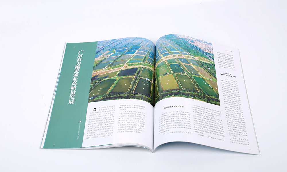 高端畫(huà)冊(cè)費(fèi)用哪兒好？