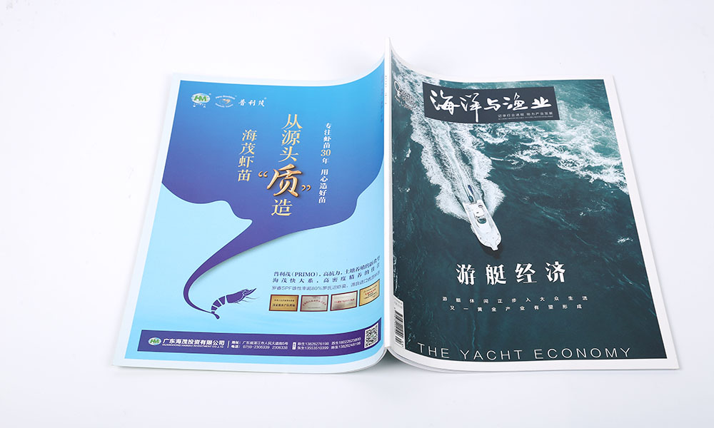 做畫冊怎么怎么樣？